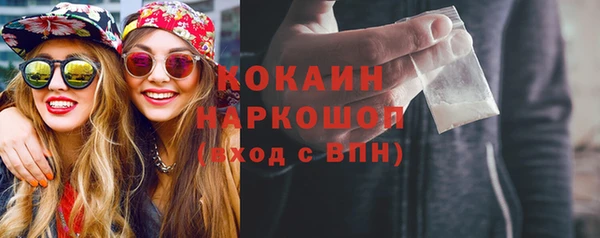 индика Горняк
