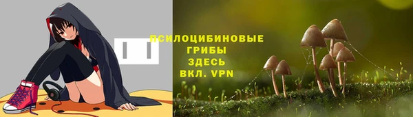 mdpv Нея