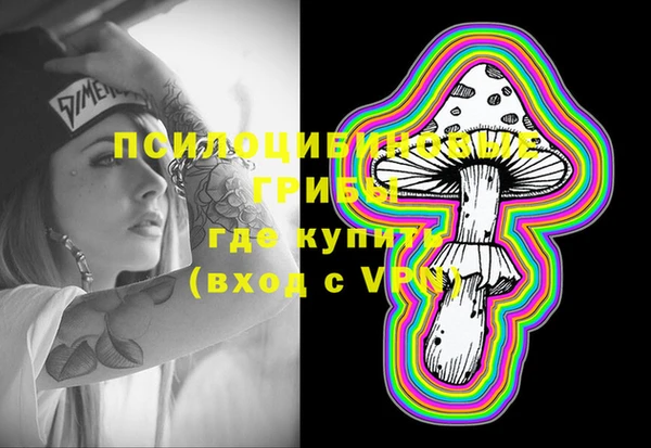 спиды Нефтекумск
